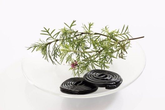 Lakritztagetes – eine aromatische Pflanze für alle, die Lakritz mögen (Bild: © In Tune - shutterstock.com)