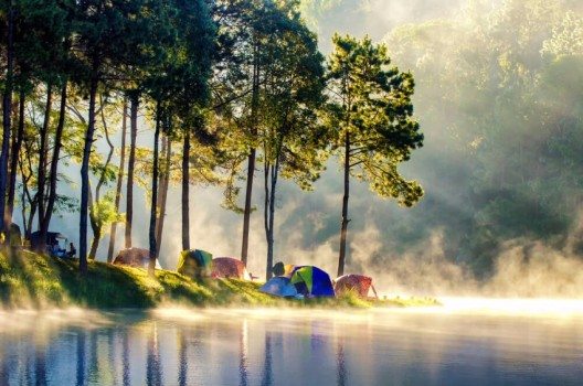 Das morgendliche Tageslicht ist der natürlichste und gesündeste Wecker (Bild: © martinho Smart - shutterstock.com)